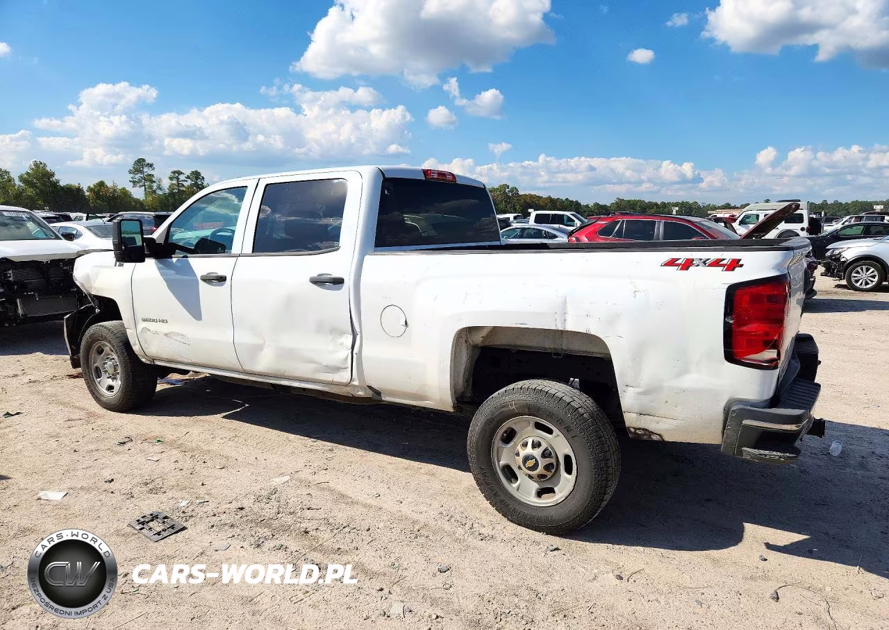 2019 Chevrolet Silverado K2500 Heavy Duty VIN:1GC1KREG8KF187044 - 2