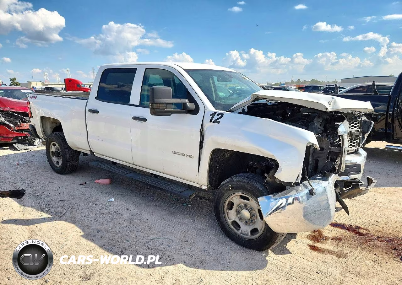 2019 Chevrolet Silverado K2500 Heavy Duty VIN:1GC1KREG8KF187044 - 4