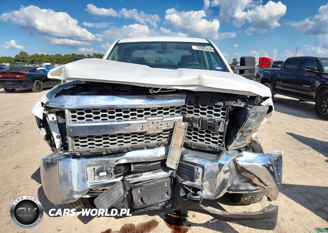 2019 Chevrolet Silverado K2500 Heavy Duty VIN:1GC1KREG8KF187044 - 5