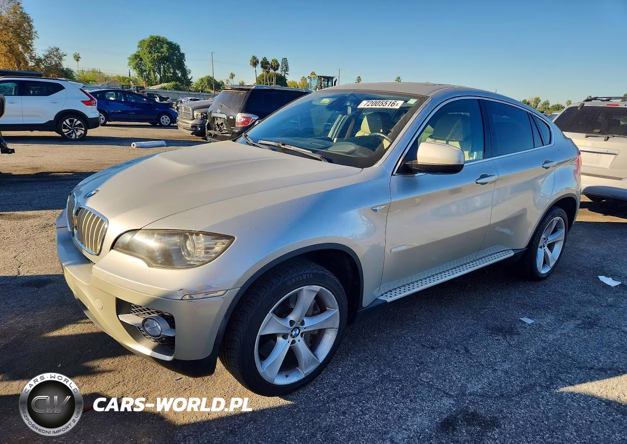 2010 BMW X6 Hybrid
