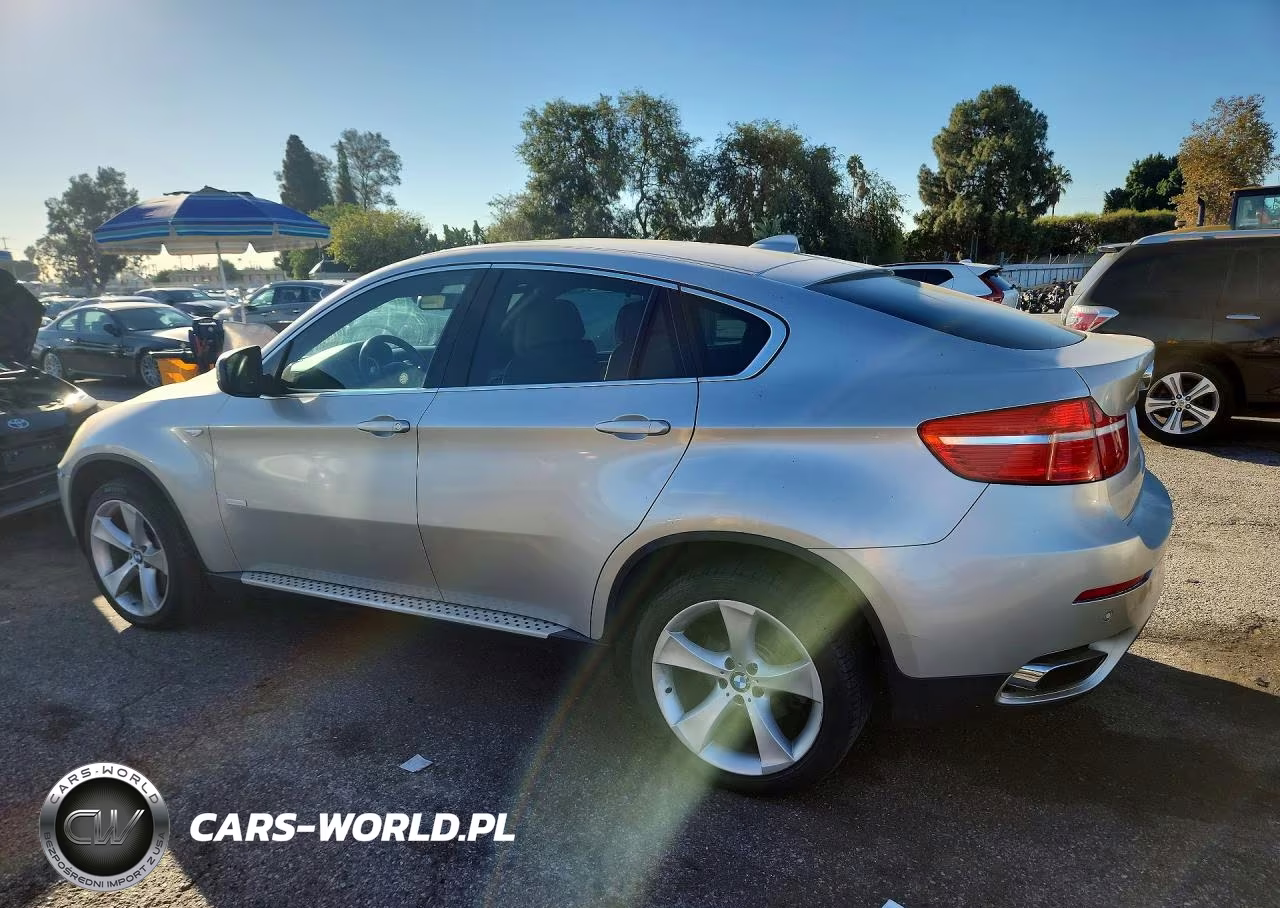 2010 BMW X6 Hybrid VIN:5UXFH0C52ALC66289 - 2