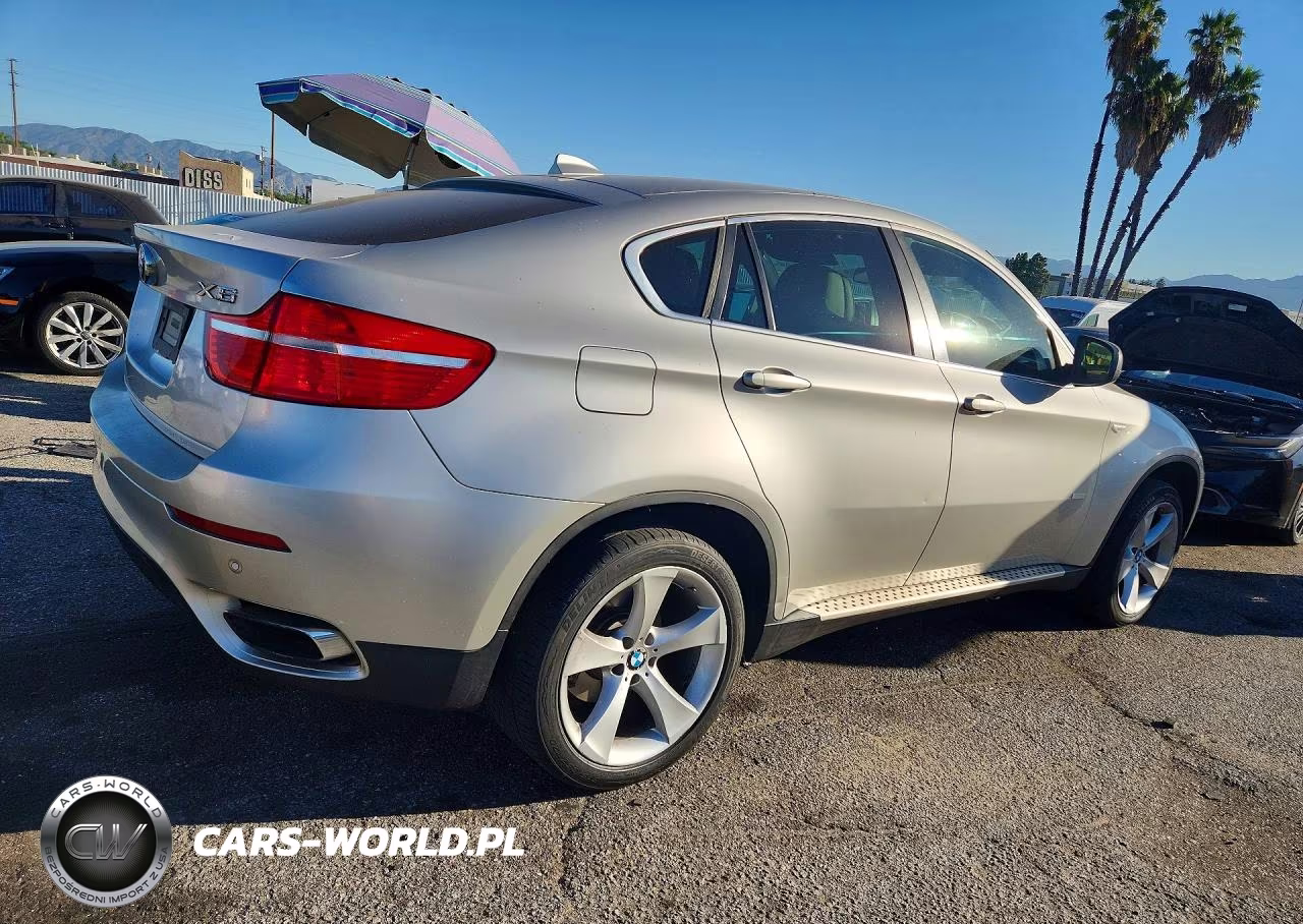 2010 BMW X6 Hybrid VIN:5UXFH0C52ALC66289 - 3