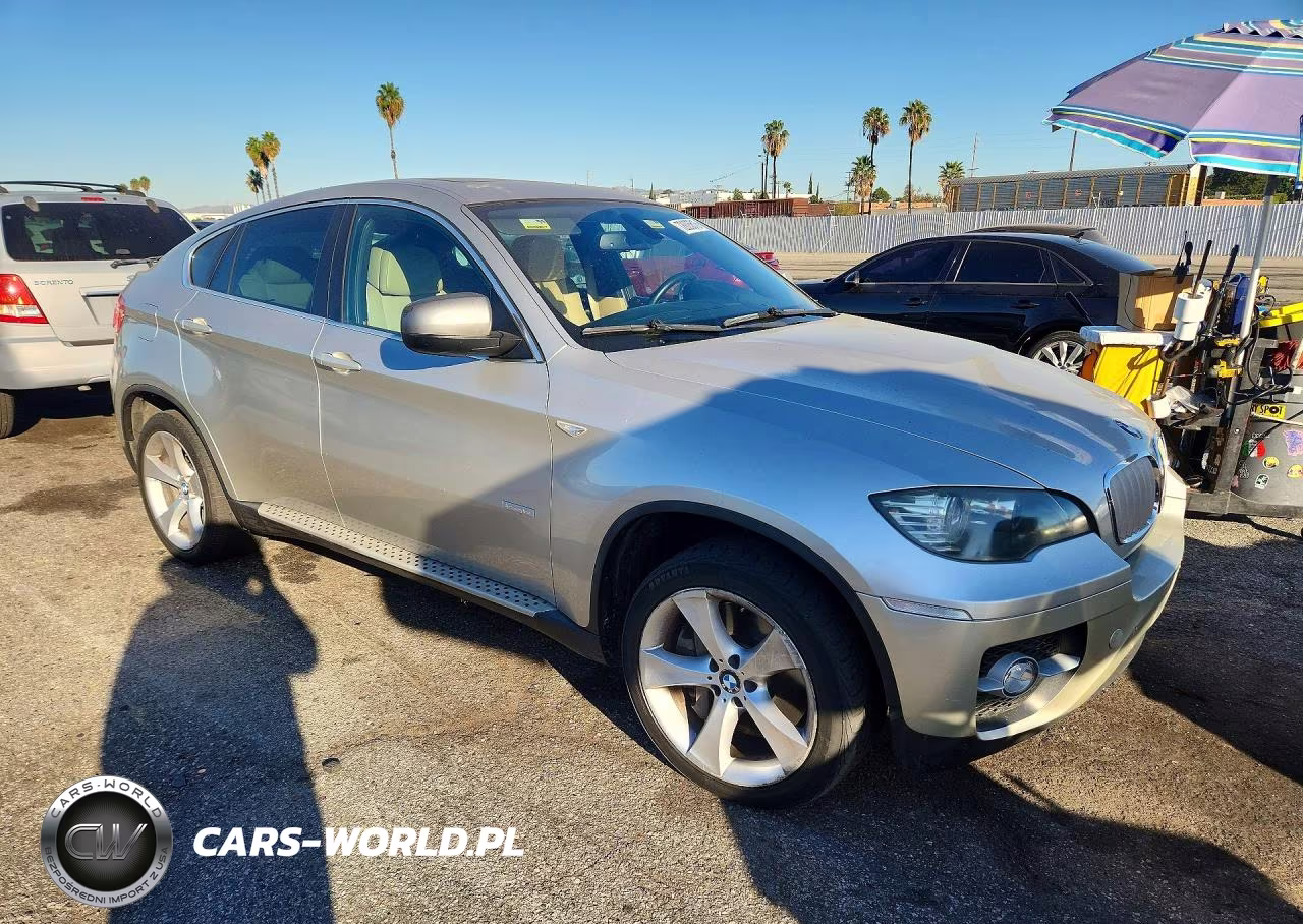 2010 BMW X6 Hybrid VIN:5UXFH0C52ALC66289 - 4