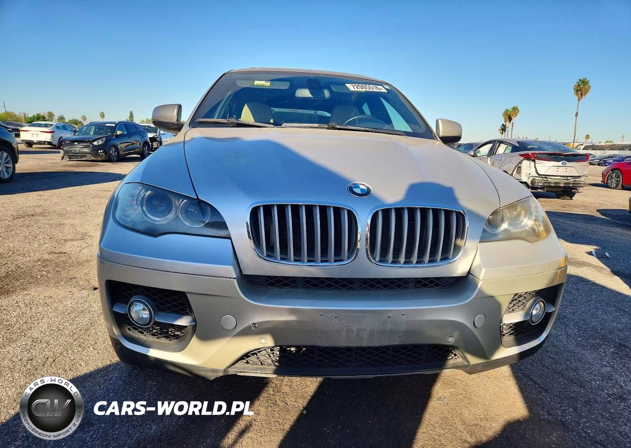 2010 BMW X6 Hybrid VIN:5UXFH0C52ALC66289 - 5