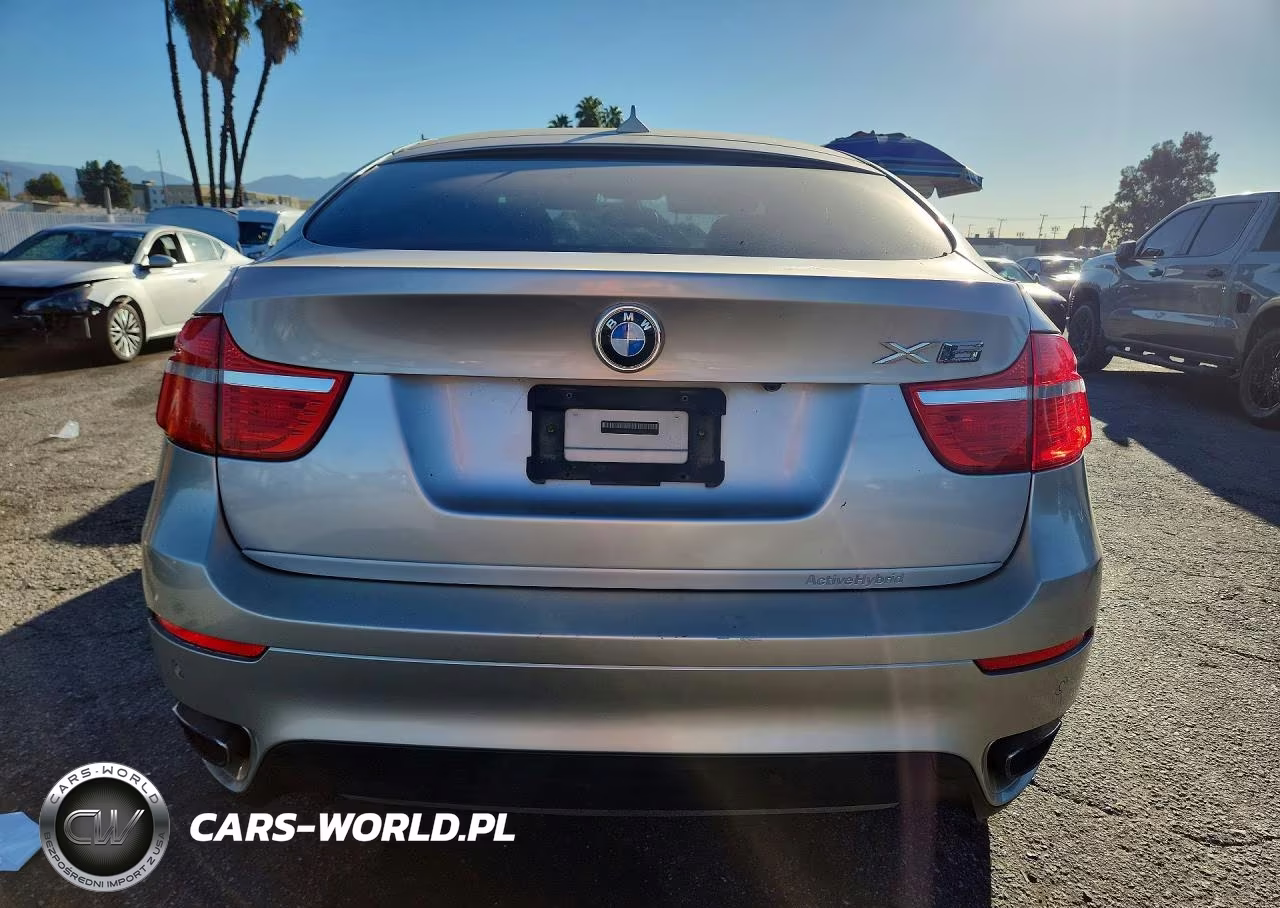 2010 BMW X6 Hybrid VIN:5UXFH0C52ALC66289 - 6