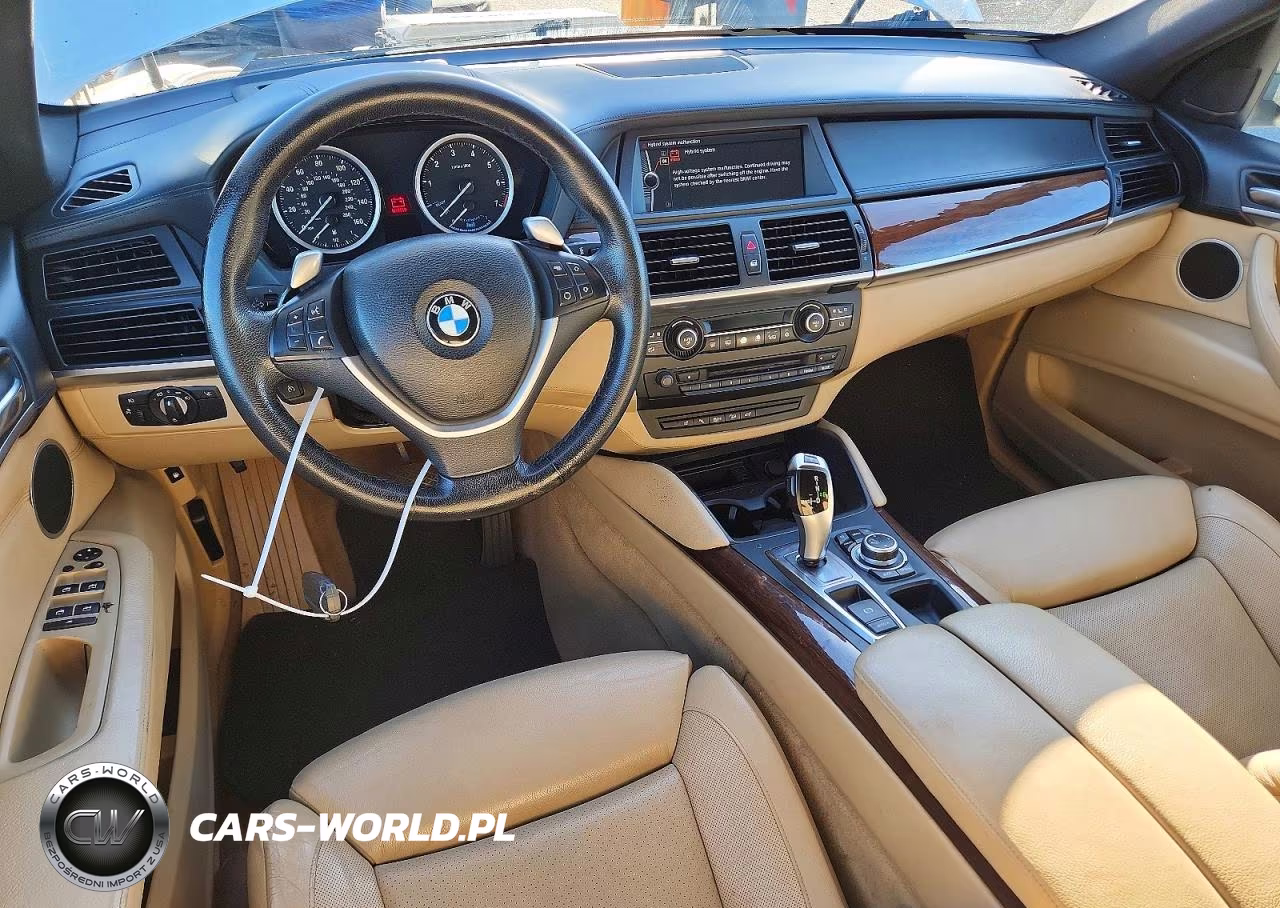 2010 BMW X6 Hybrid VIN:5UXFH0C52ALC66289 - 8