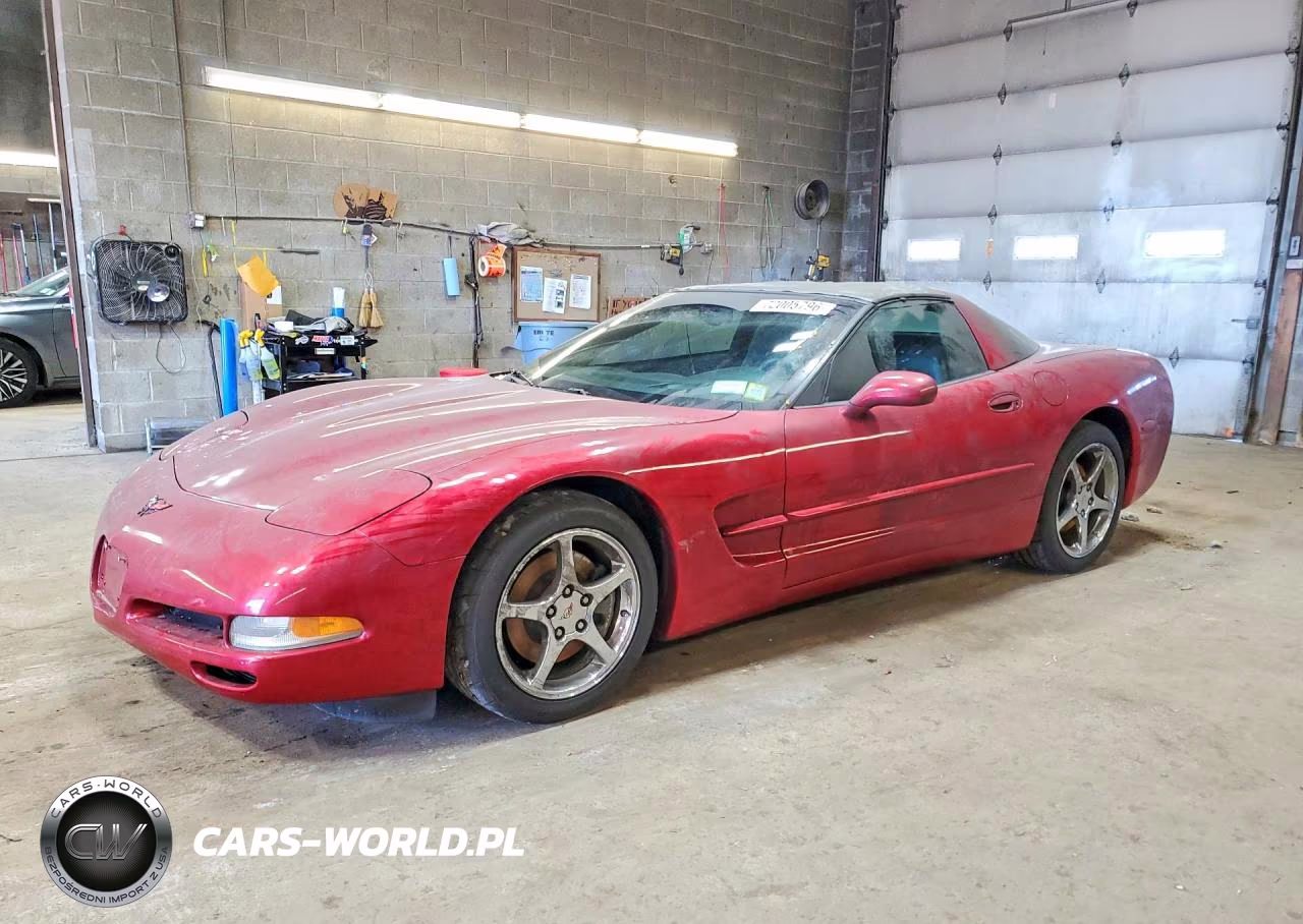 2004 Chevrolet Corvette VIN:1G1YY22G645117164 - 1
