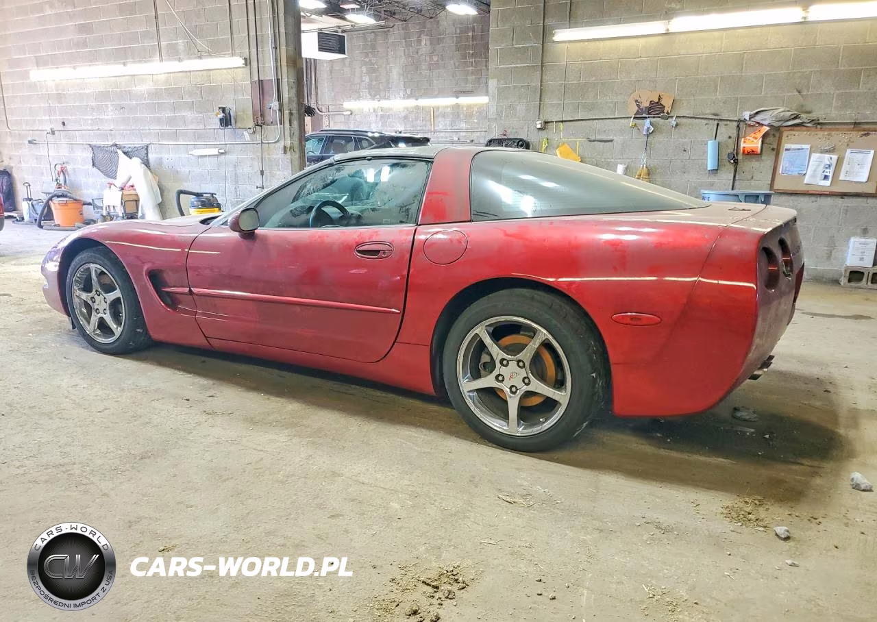 2004 Chevrolet Corvette VIN:1G1YY22G645117164 - 2