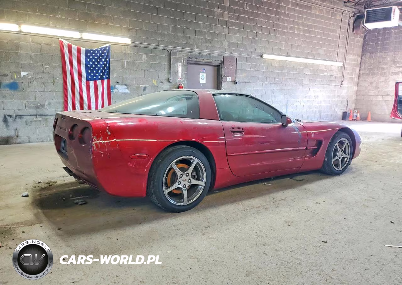 2004 Chevrolet Corvette VIN:1G1YY22G645117164 - 3
