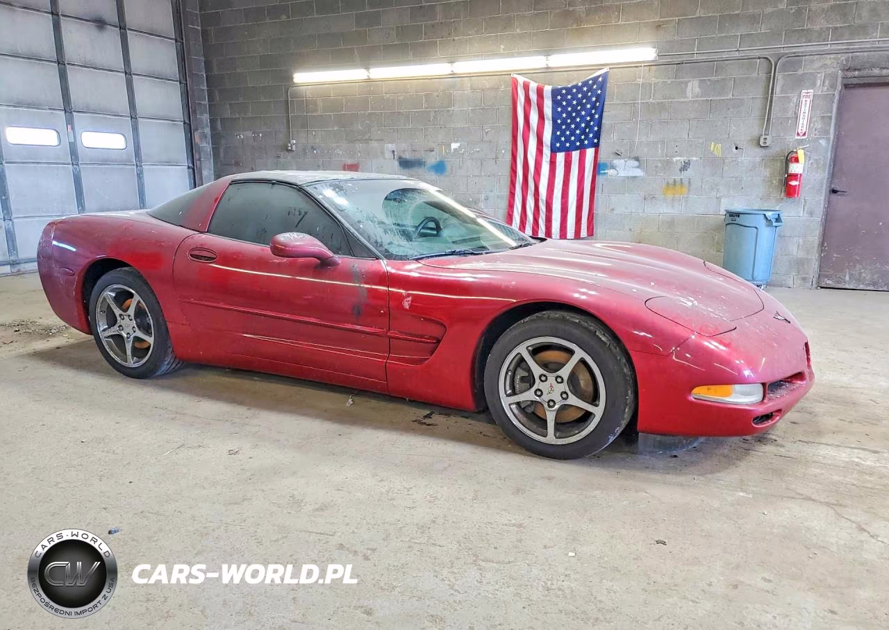 2004 Chevrolet Corvette VIN:1G1YY22G645117164 - 4