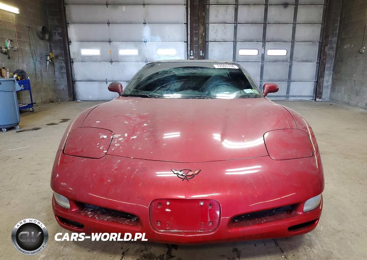 2004 Chevrolet Corvette VIN:1G1YY22G645117164 - 5