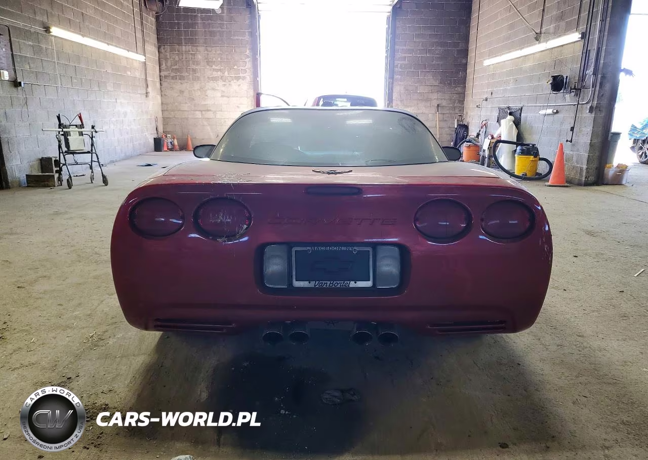 2004 Chevrolet Corvette VIN:1G1YY22G645117164 - 6