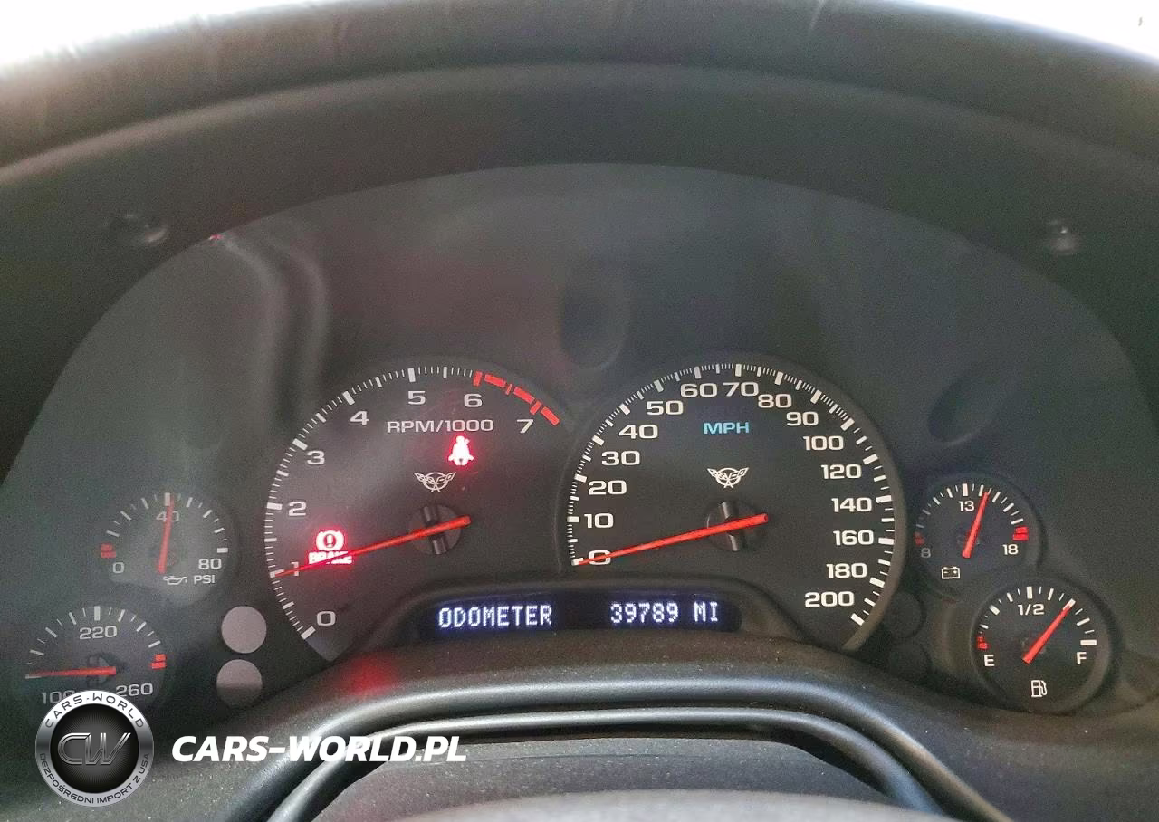 2004 Chevrolet Corvette VIN:1G1YY22G645117164 - 9