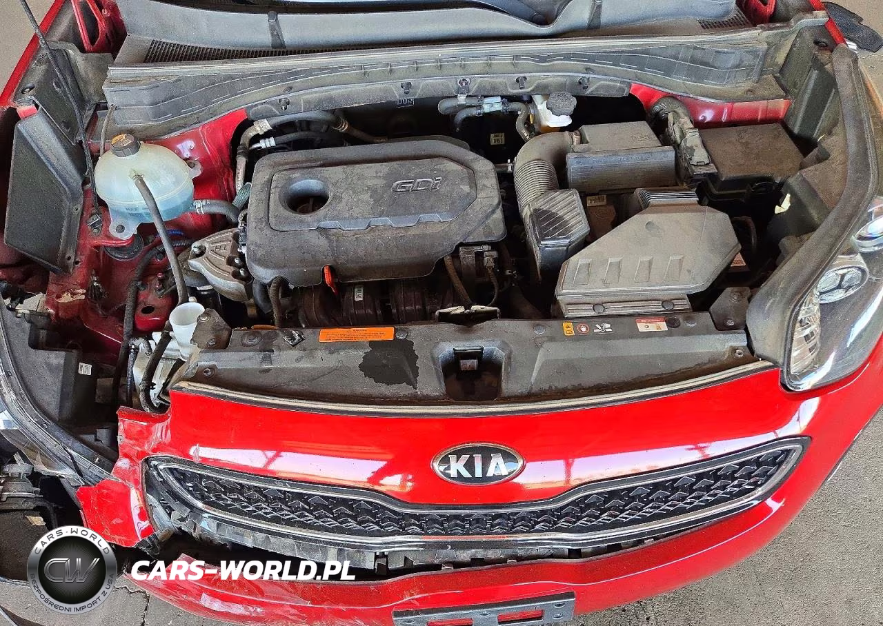 2019 Kia Sportage Lx VIN:KNDPMCAC2K7567091 - 12