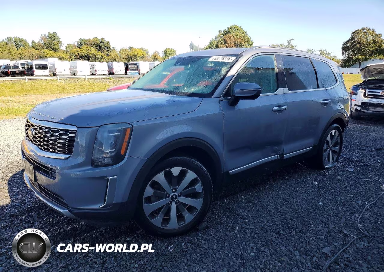 2020 Kia Telluride S VIN:5XYP6DHC2LG004942 - 1