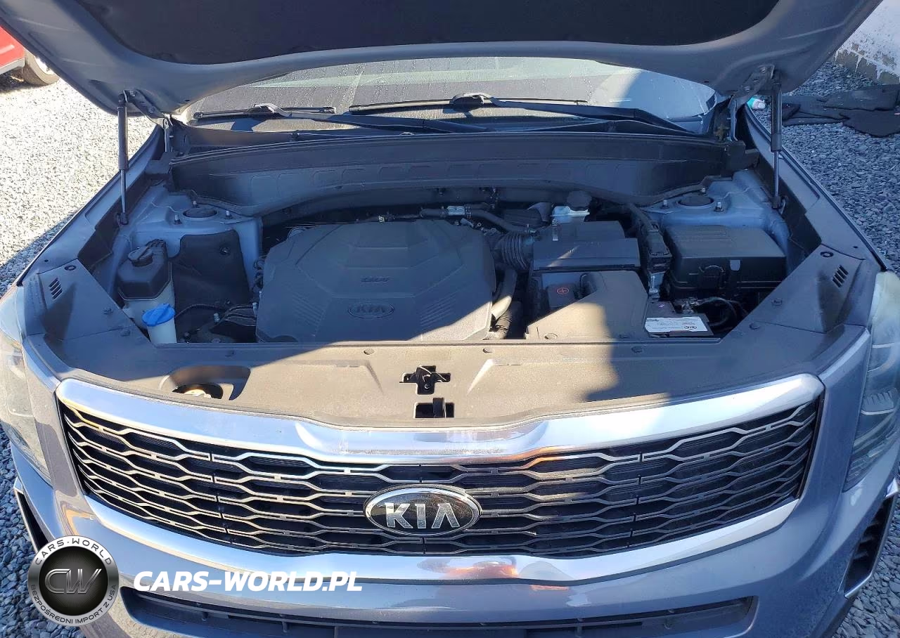 2020 Kia Telluride S VIN:5XYP6DHC2LG004942 - 12