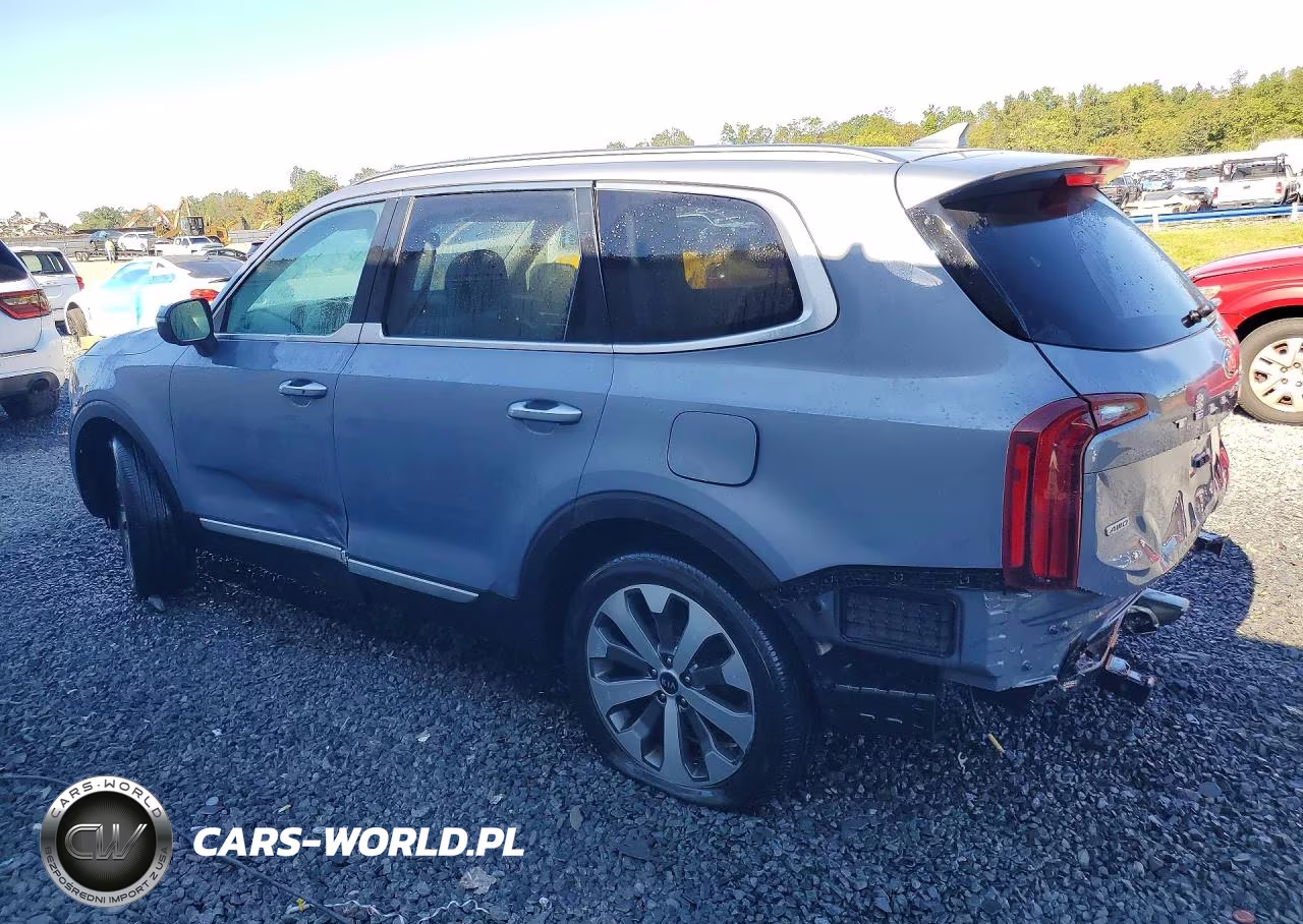 2020 Kia Telluride S VIN:5XYP6DHC2LG004942 - 2