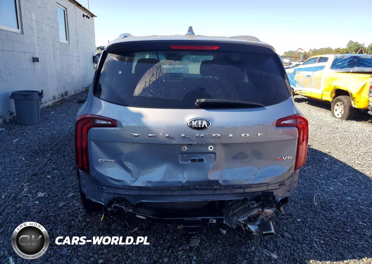 2020 Kia Telluride S VIN:5XYP6DHC2LG004942 - 6