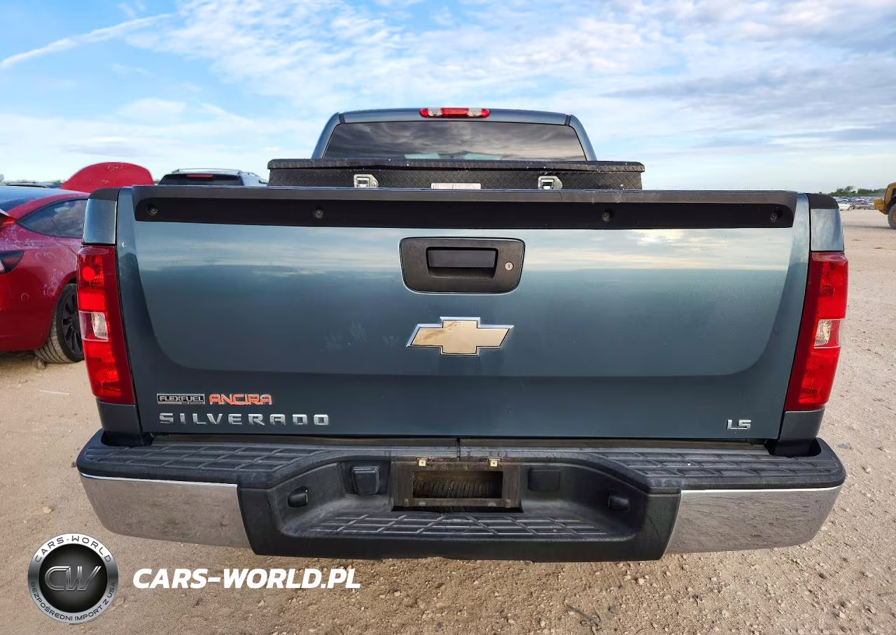 2010 Chevrolet Silverado C1500 Ls VIN:1GCSCREAXAZ118480 - 6