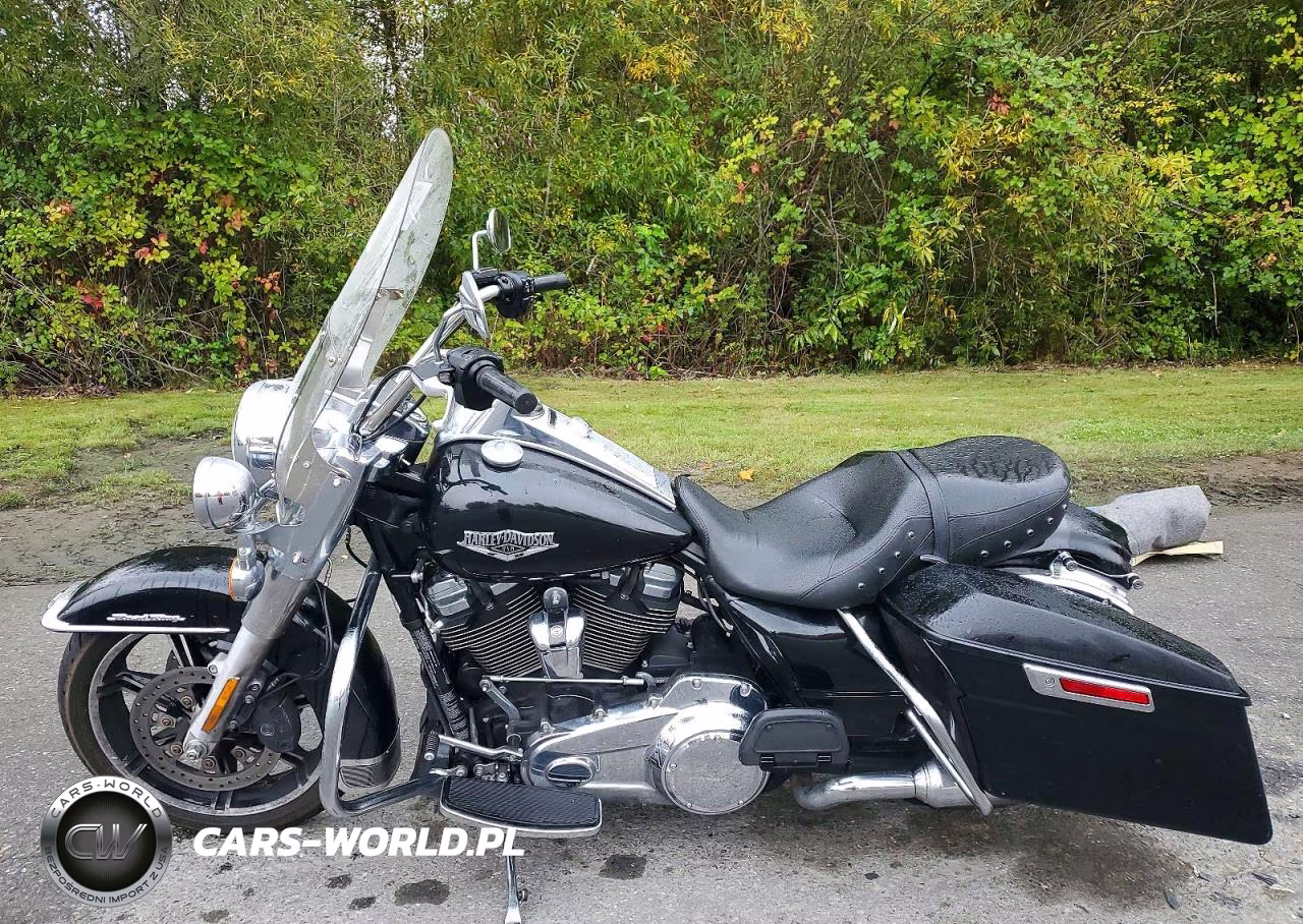 2021 Harley-Davidson Flhr VIN:1HD1FBC16MB660216 - 3
