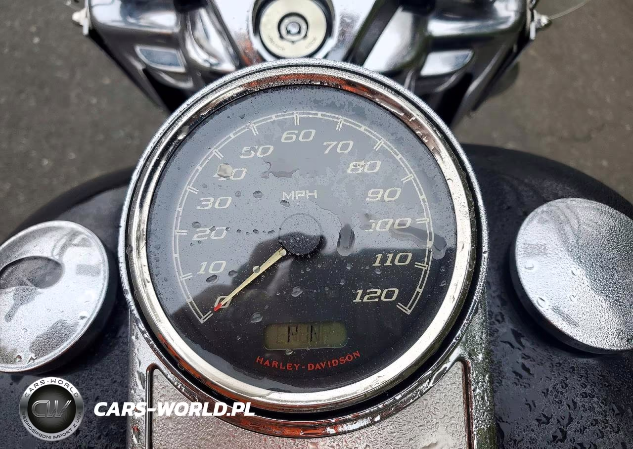 2021 Harley-Davidson Flhr VIN:1HD1FBC16MB660216 - 7