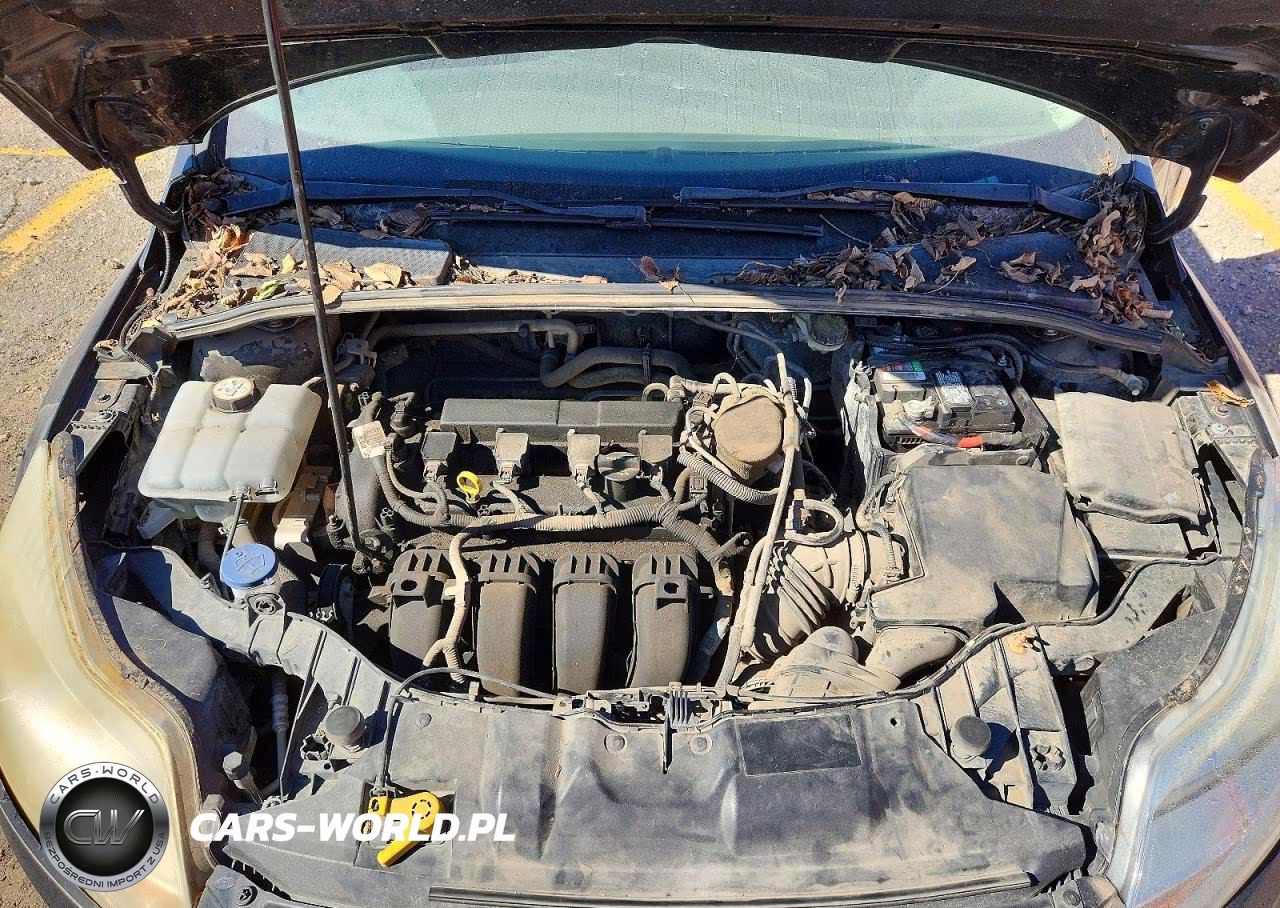 2014 Ford Focus S VIN:1FADP3E22EL254233 - 11