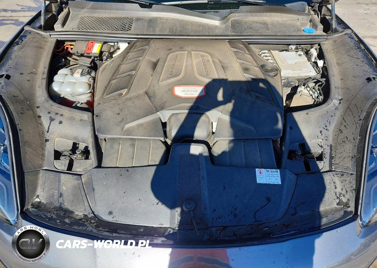 2019 Porsche Cayenne Turbo VIN:WP1AF2AY7KDA80409 - 12