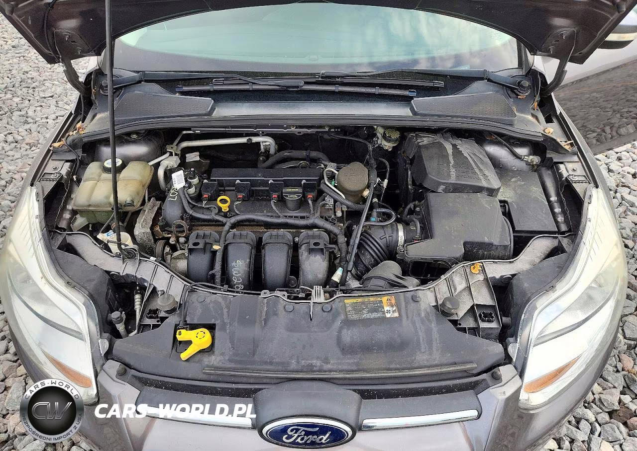 2014 Ford Focus Se VIN:1FADP3F21EL244873 - 11