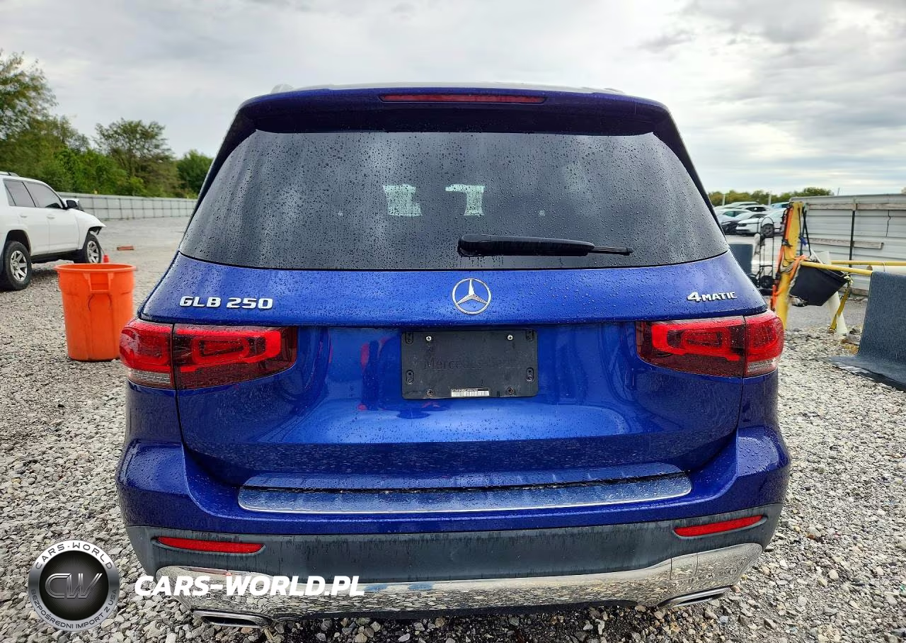 2020 Mercedes-Benz Glb 250 4Matic VIN:W1N4M4HBXLW032449 - 6