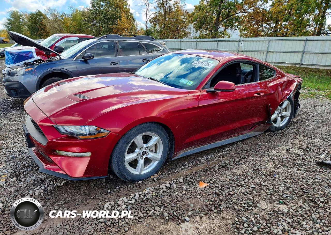 2019 Ford Mustang