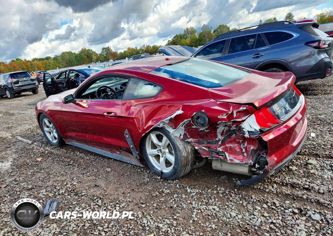 2019 Ford Mustang VIN:1FA6P8THXK5129011 - 2