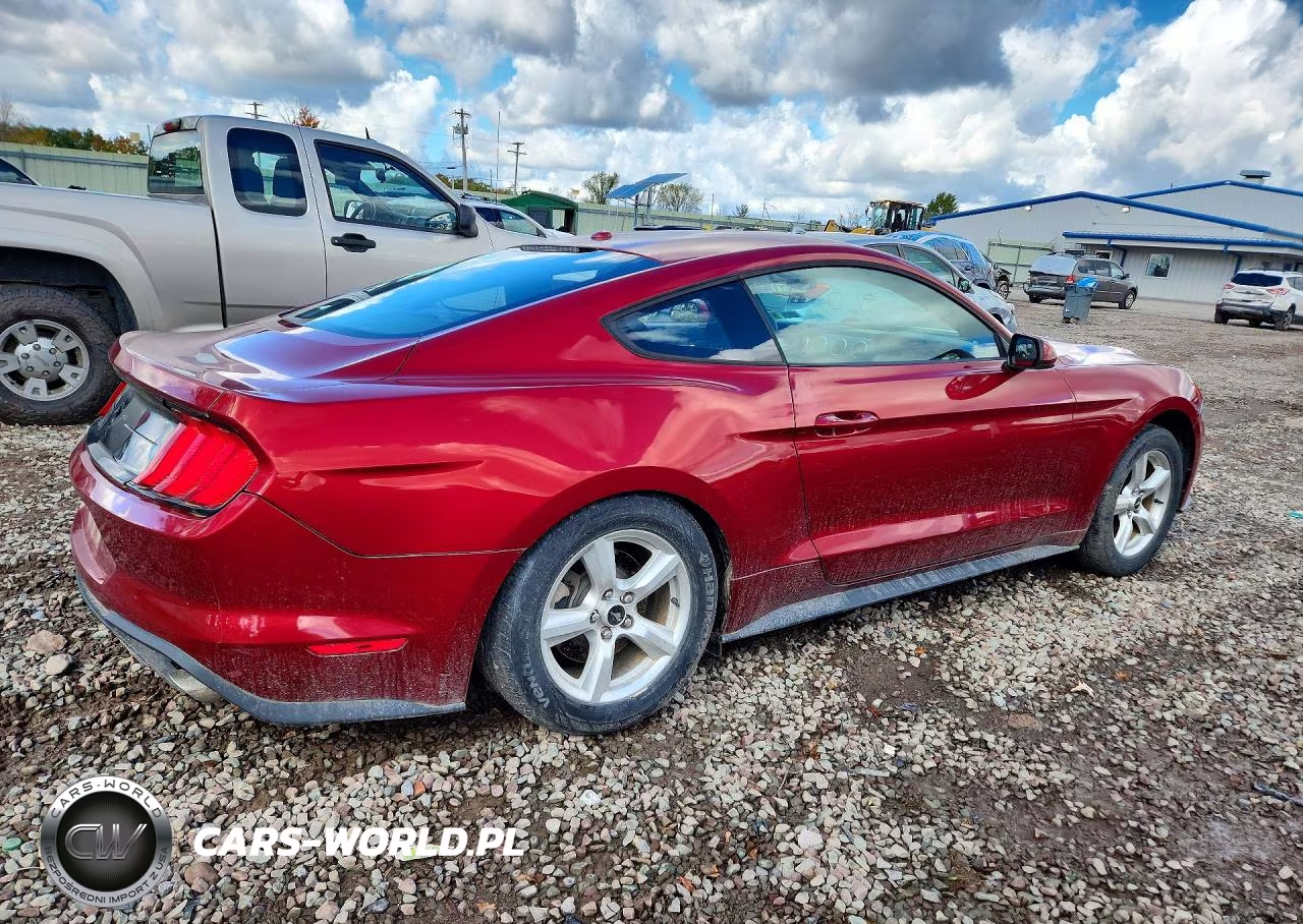 2019 Ford Mustang VIN:1FA6P8THXK5129011 - 3