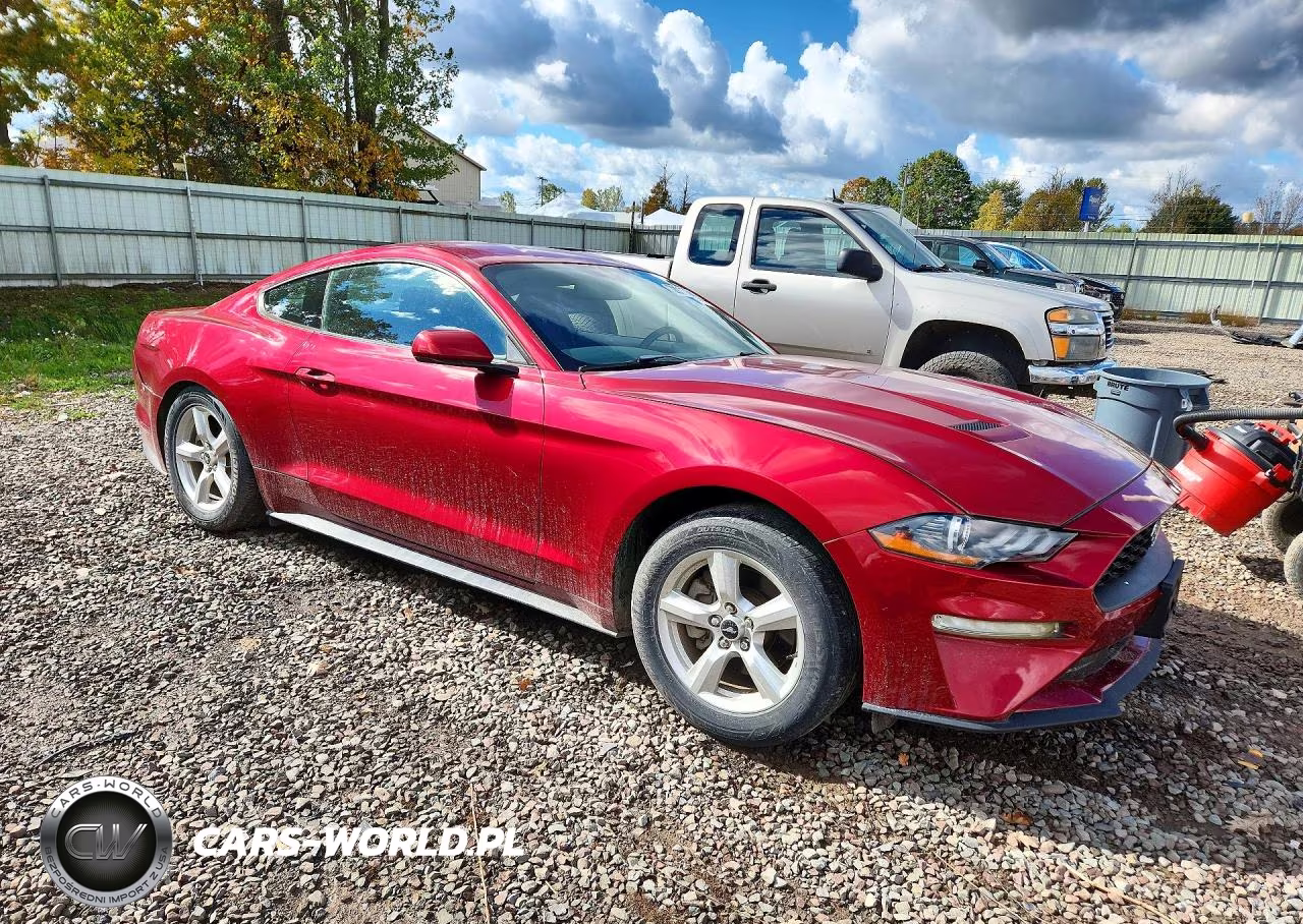 2019 Ford Mustang VIN:1FA6P8THXK5129011 - 4