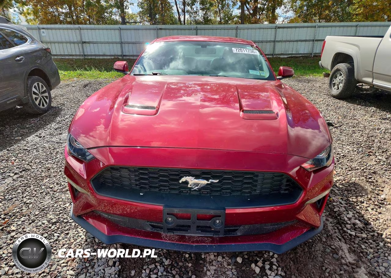 2019 Ford Mustang VIN:1FA6P8THXK5129011 - 5