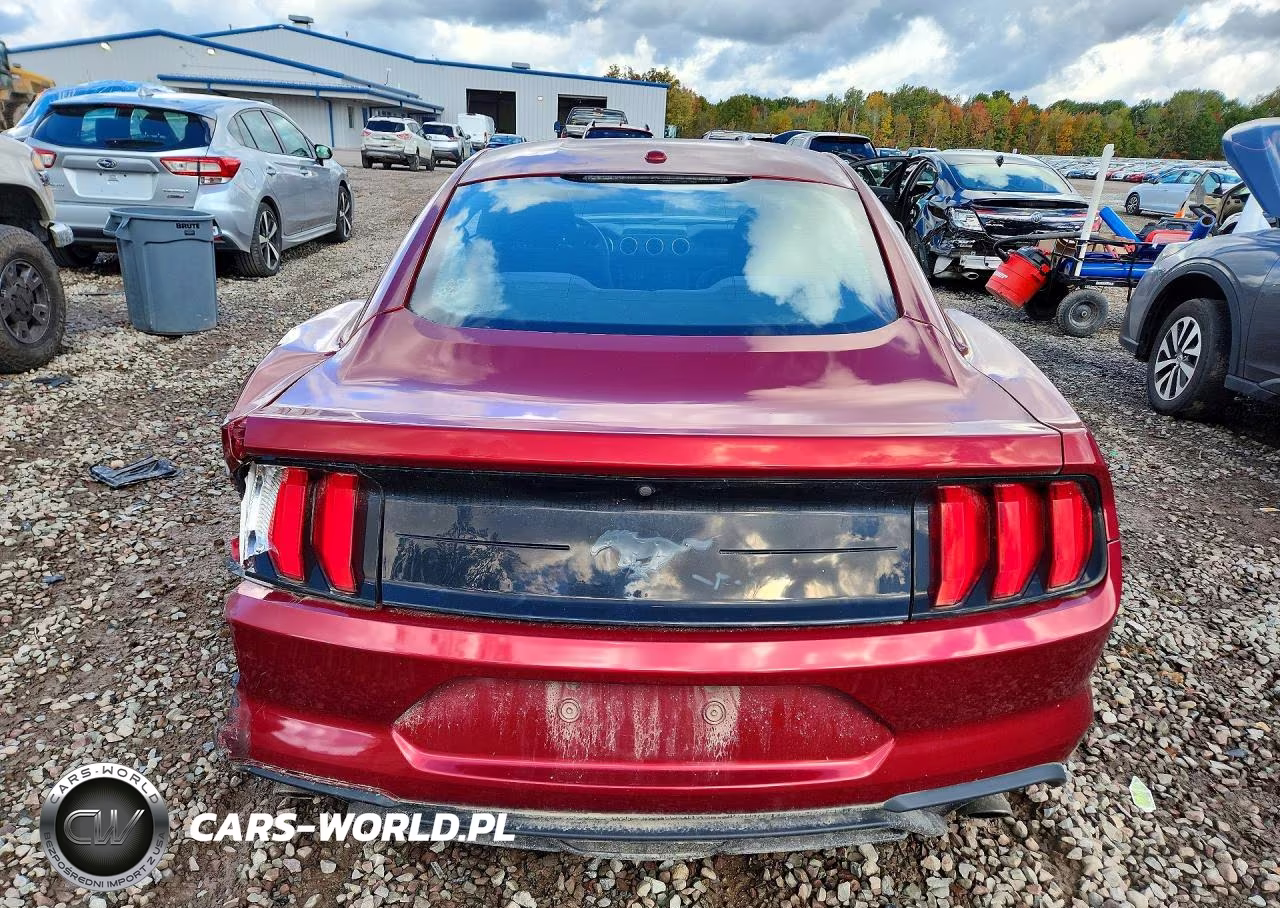 2019 Ford Mustang VIN:1FA6P8THXK5129011 - 6