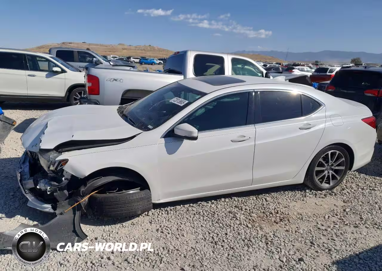 2019 Acura Tlx
