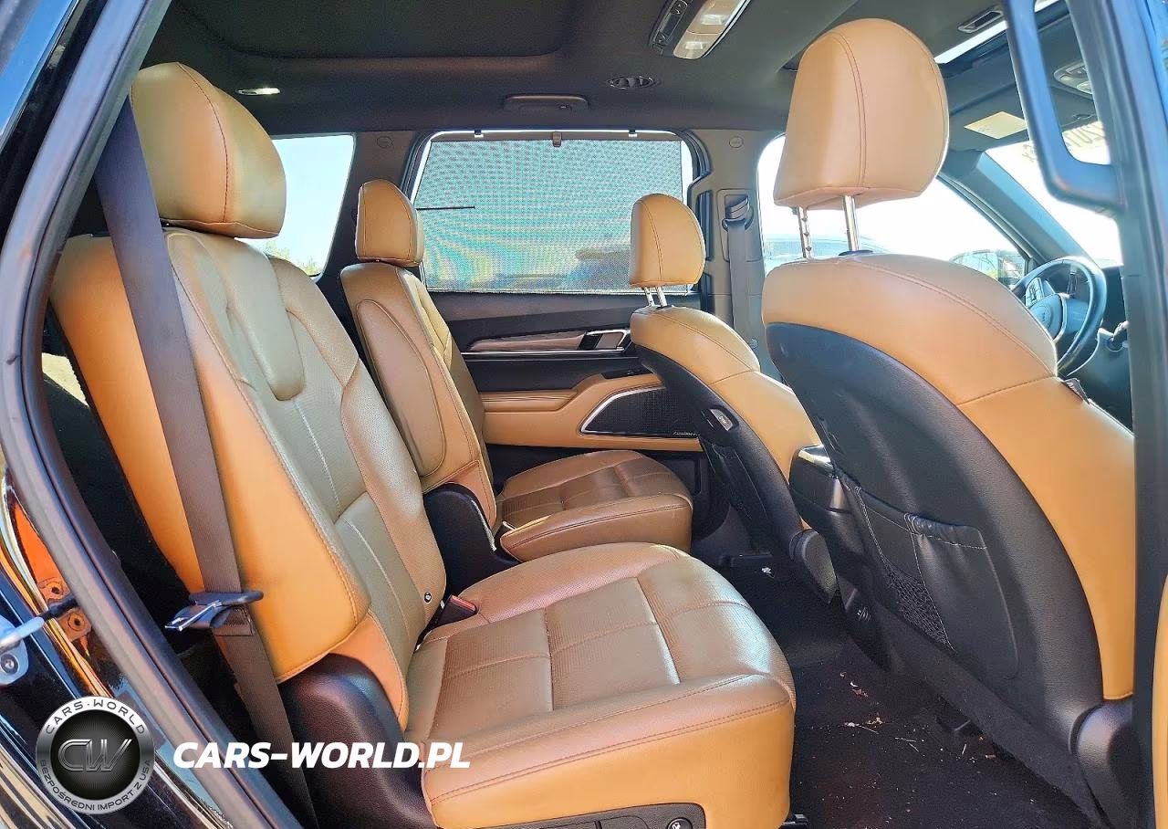 2020 Kia Telluride Sx VIN:5XYP5DHC2LG010744 - 11