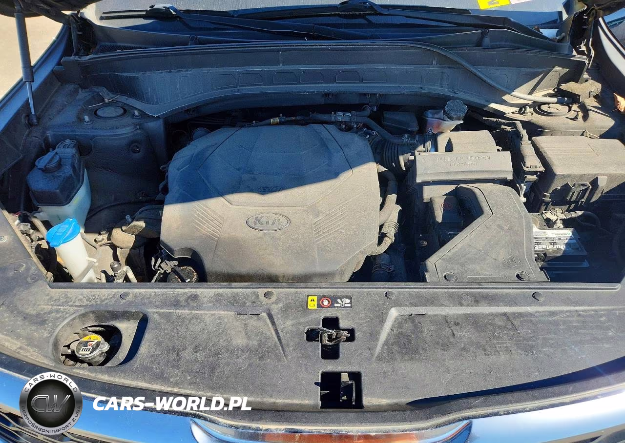 2020 Kia Telluride Sx VIN:5XYP5DHC2LG010744 - 12