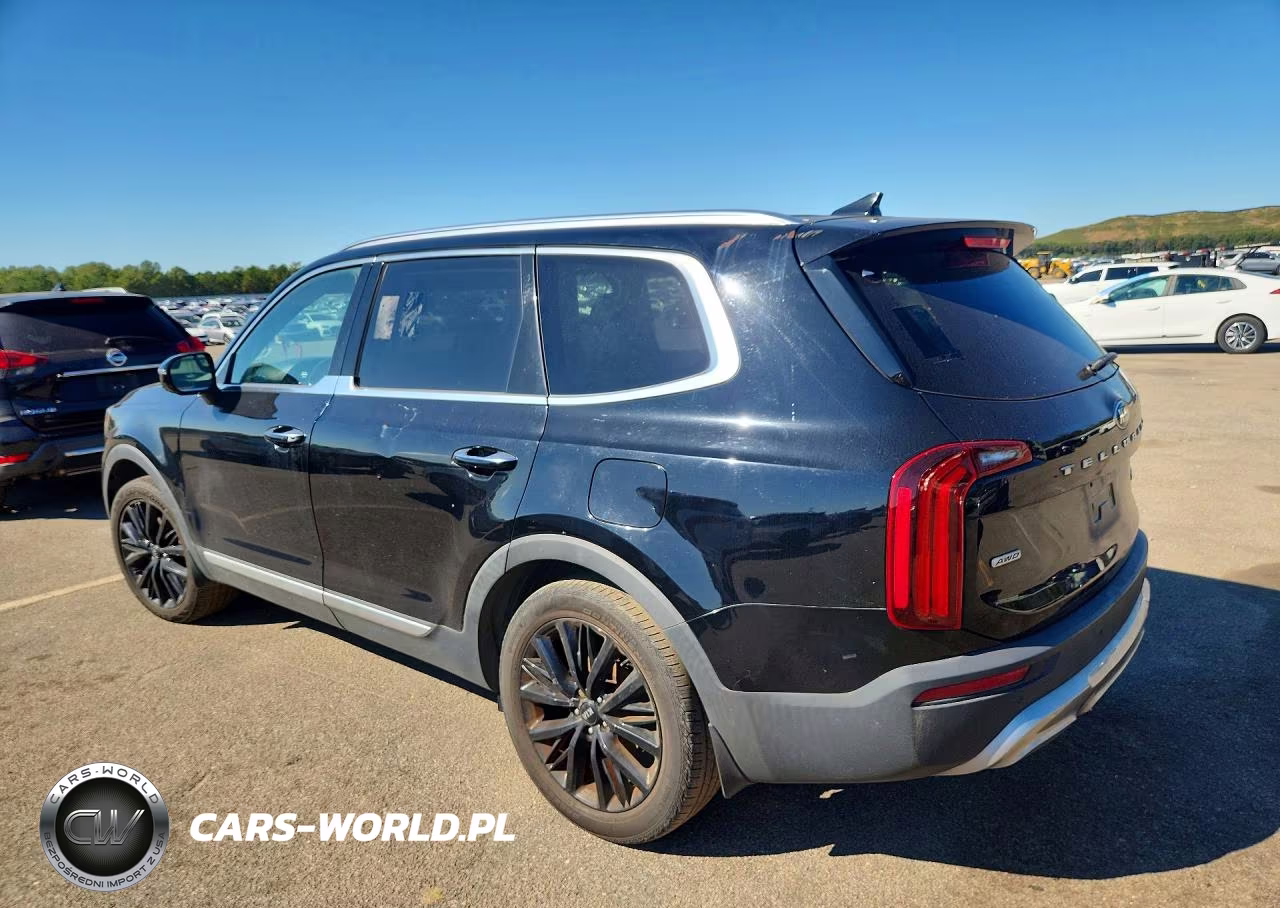 2020 Kia Telluride Sx VIN:5XYP5DHC2LG010744 - 2