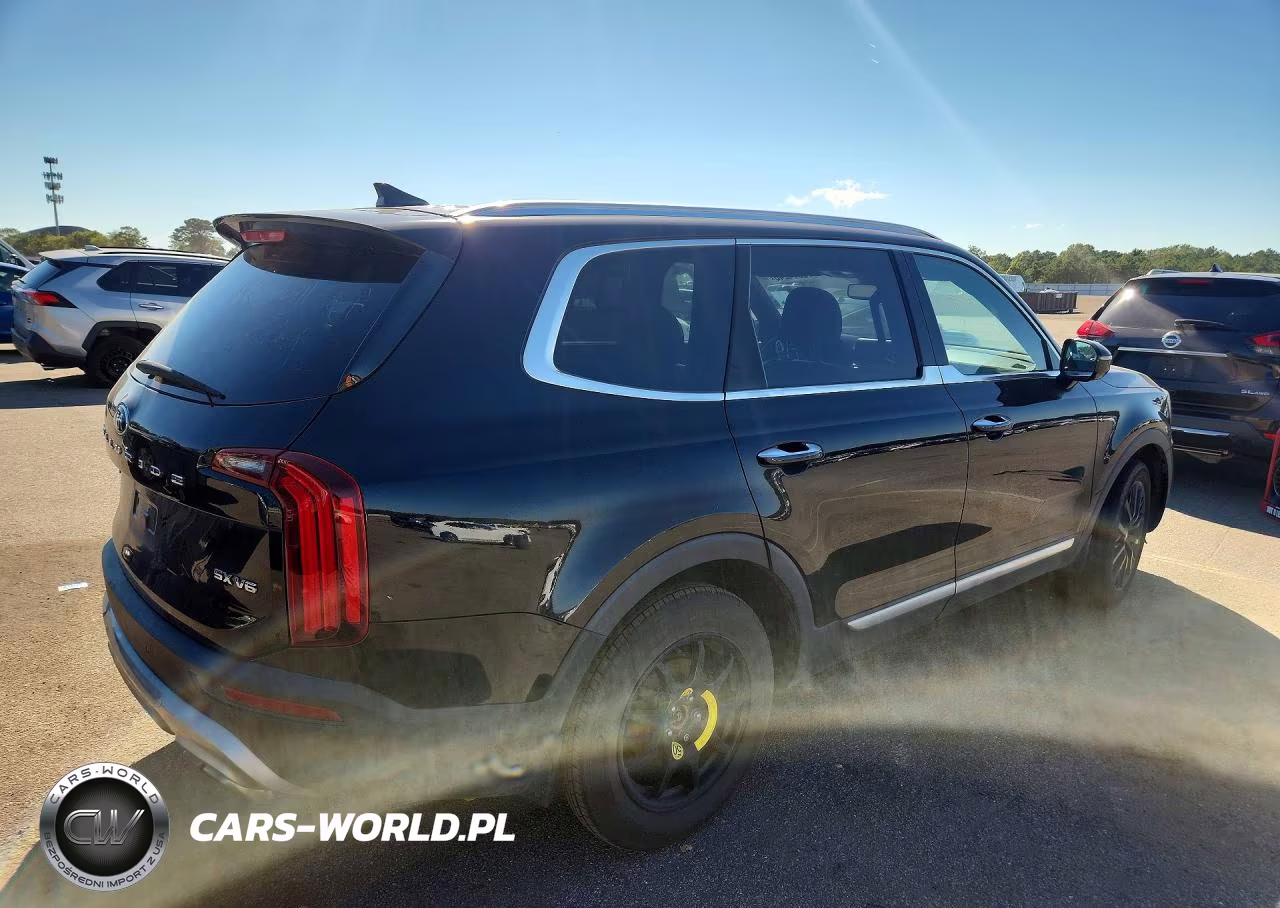 2020 Kia Telluride Sx VIN:5XYP5DHC2LG010744 - 3