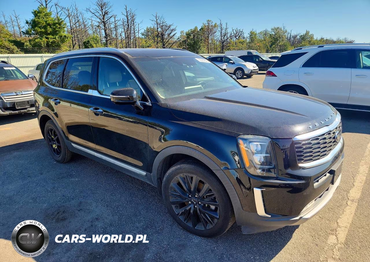 2020 Kia Telluride Sx VIN:5XYP5DHC2LG010744 - 4