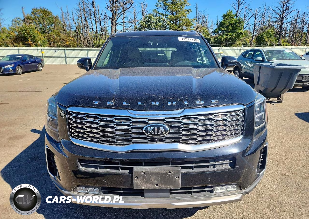 2020 Kia Telluride Sx VIN:5XYP5DHC2LG010744 - 5