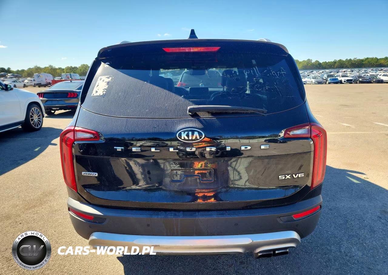 2020 Kia Telluride Sx VIN:5XYP5DHC2LG010744 - 6