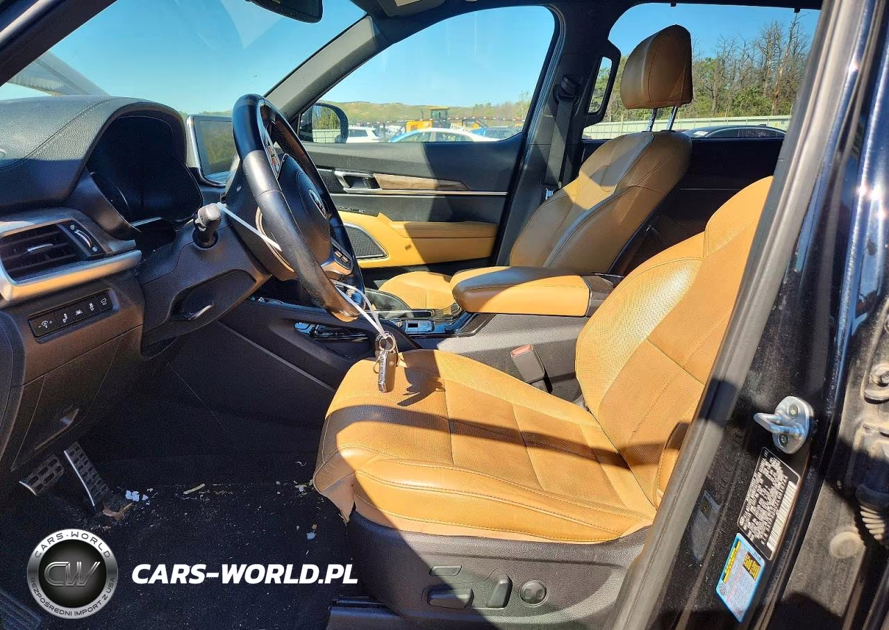 2020 Kia Telluride Sx VIN:5XYP5DHC2LG010744 - 7