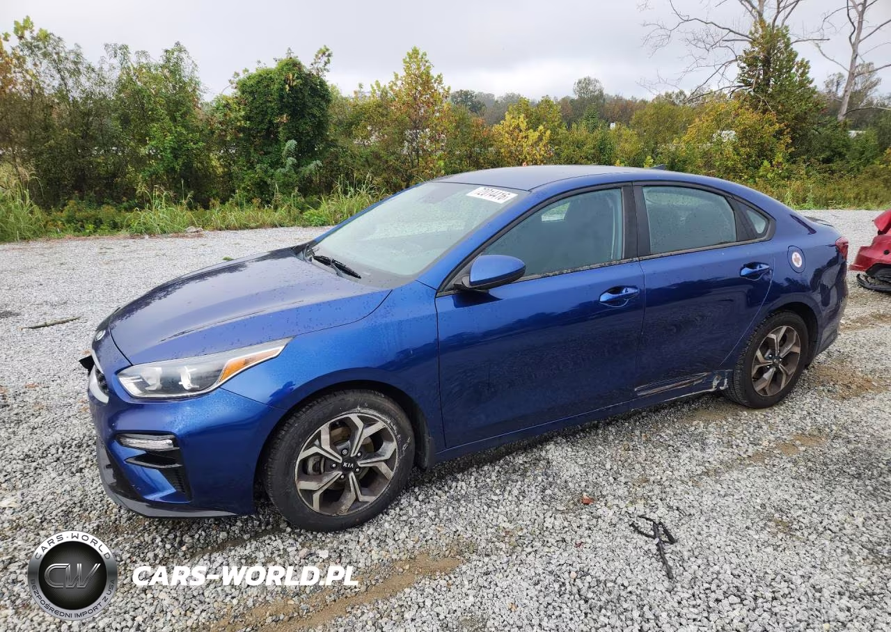 2019 Kia Forte Lxs VIN:3KPF24AD1KE120266 - 1