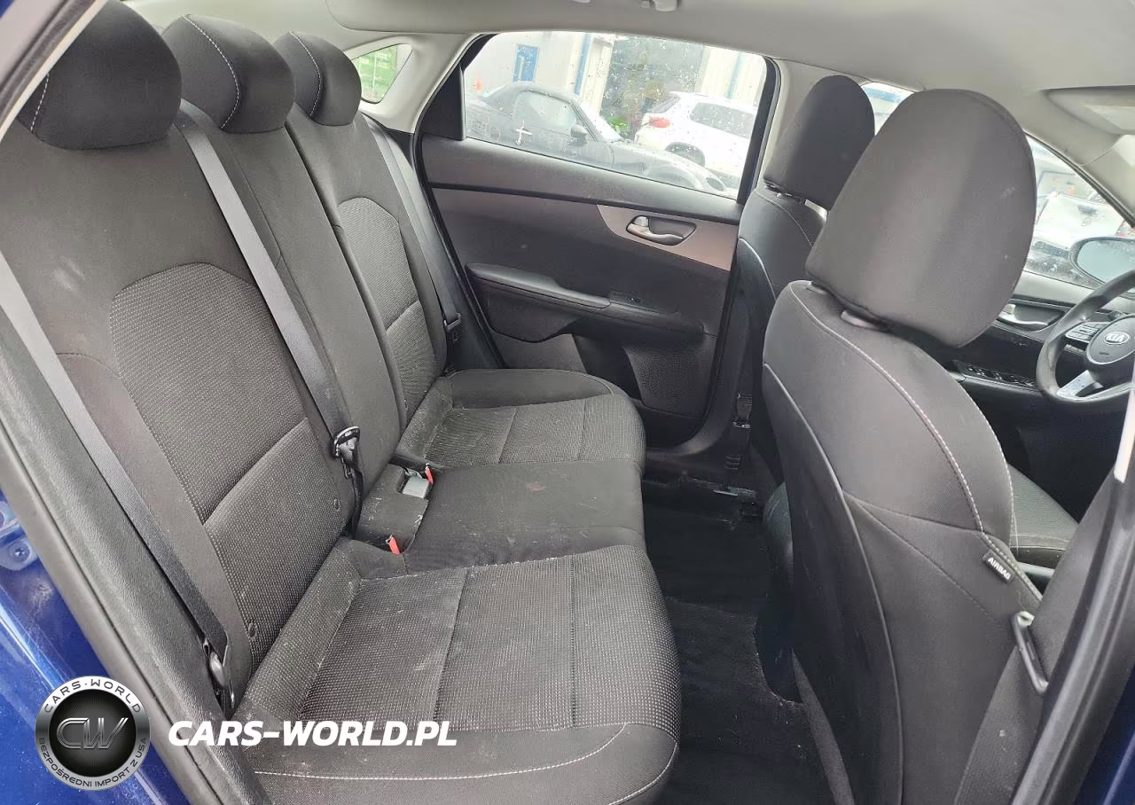 2019 Kia Forte Lxs VIN:3KPF24AD1KE120266 - 10