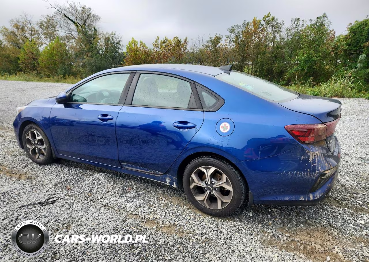 2019 Kia Forte Lxs VIN:3KPF24AD1KE120266 - 2