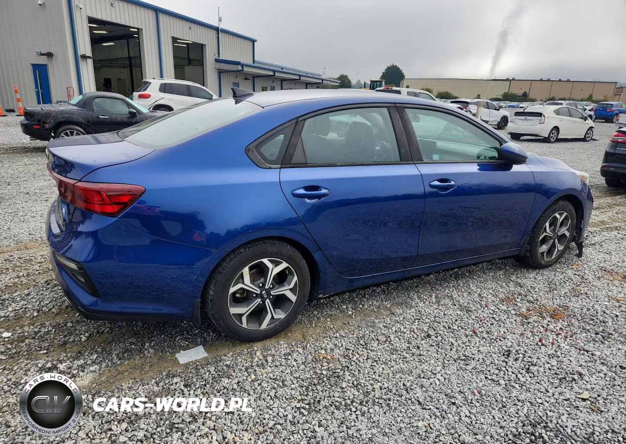 2019 Kia Forte Lxs VIN:3KPF24AD1KE120266 - 3
