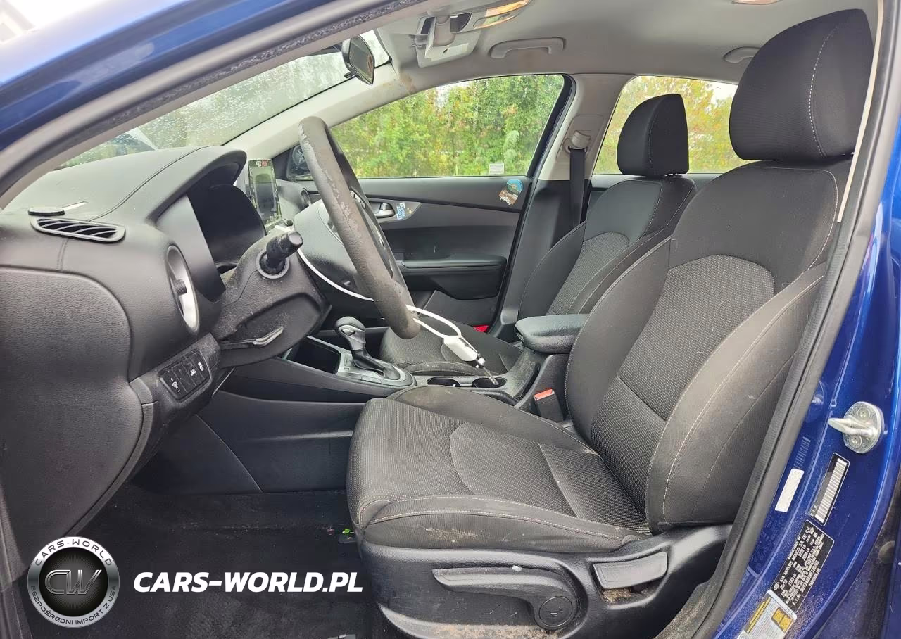 2019 Kia Forte Lxs VIN:3KPF24AD1KE120266 - 7