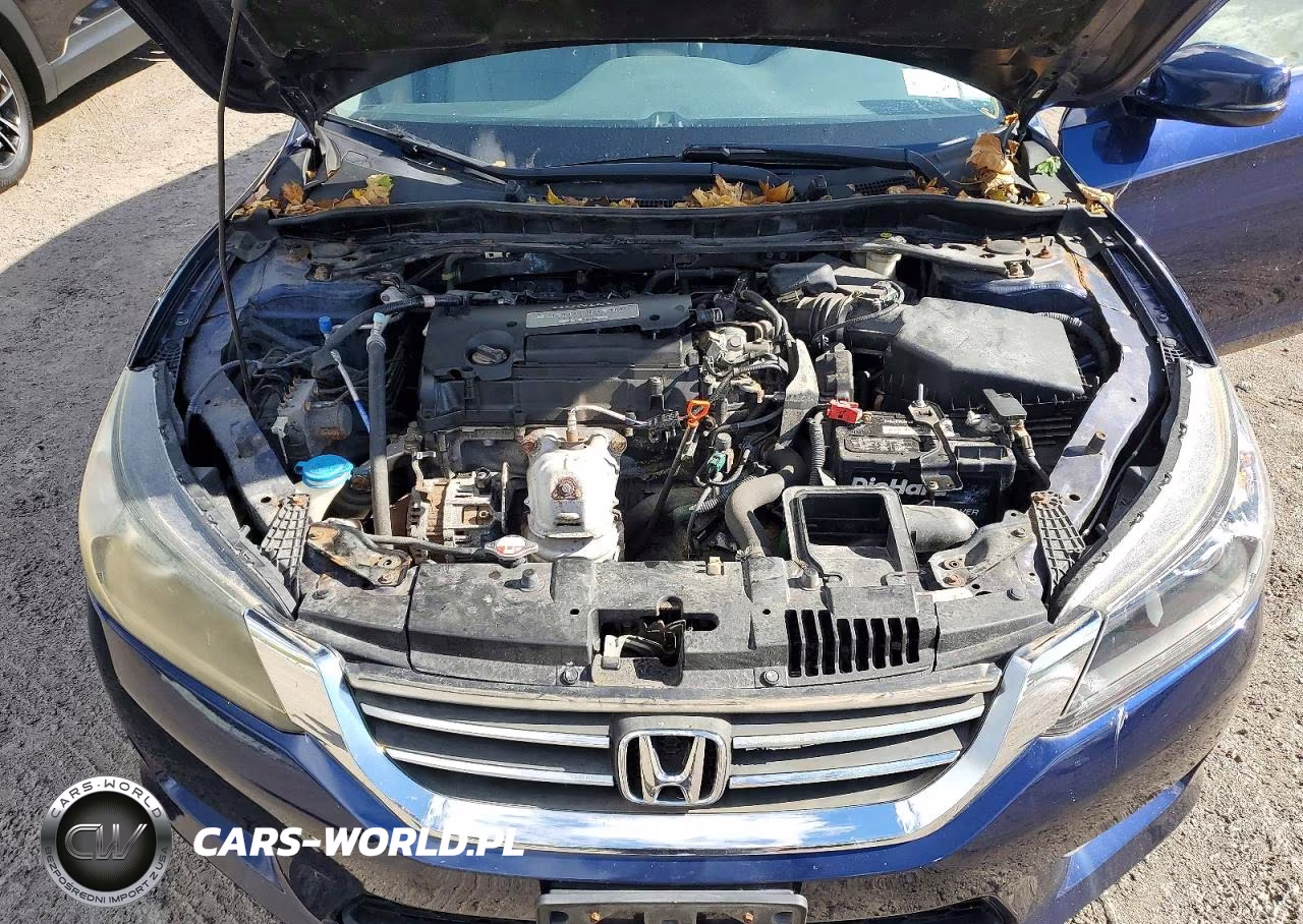 2013 Honda Accord Exl VIN:1HGCR2F88DA156431 - 11